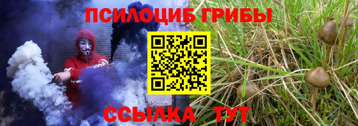 Галлюциногенные грибы MAGIC MUSHROOMS  Псилоцибиновые грибы Magic Shrooms  Вход с VPN  Мыски 